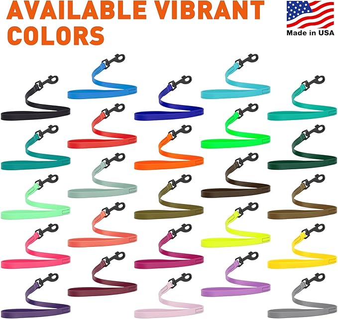 Dogline Biothane Waterproof Dog Leash Strong Coated Nylon Webbing with Black Hardware Odor-Proof Easy to Clean High Performance for Small or Large Dogs Made in USA 2 ft Lead, Cerulean Blue