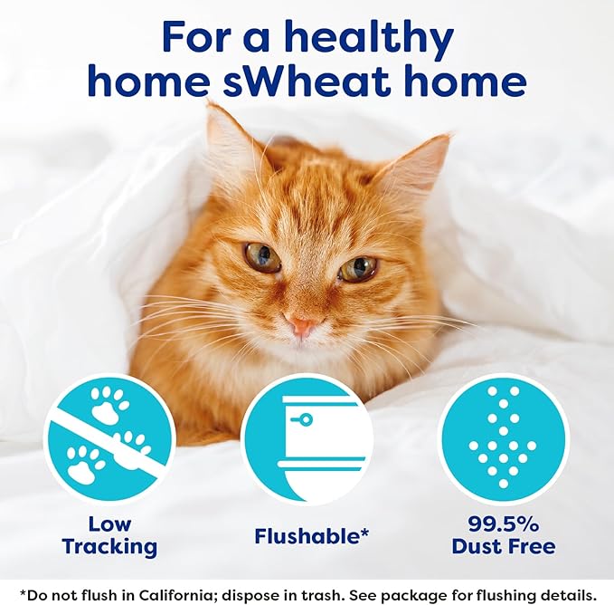 sWheat Scoop Natural Wheat Cat Litter, Original, Fast Clumping with Odor Neutralizing Enzymes, 25 Pound Bag