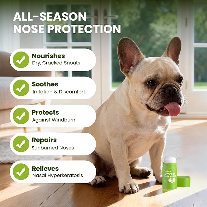 Lick-Safe Dog Paw & Nose Balm with Coconut Oil | Winter Road Salt & Cold Pavement Protector | All-Natural Moisturizer & Soother for Dry, Cracked Pads & Snout | Nose Butter for Bulldogs (1.3 oz / 36 g)