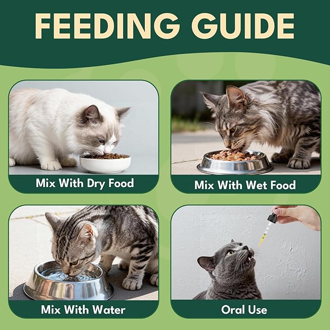 YOTANGO Natural Antibiotics for Cats, Cat Antibiotics for UTI & Itch Support, Immune, Digestive, Allergy, Skin & Coat Support for Cats and Kittens, for All Ages & Breeds (Chicken Flavor-60ml)