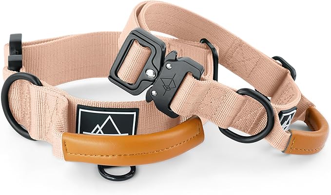 Made to ROAM Premium Explorer Control Collar - Adjustable Heavy Duty Nylon Dog Collar with Quick-Release Metal Buckle and Handle (Carolina Blooms, Control Size 4)