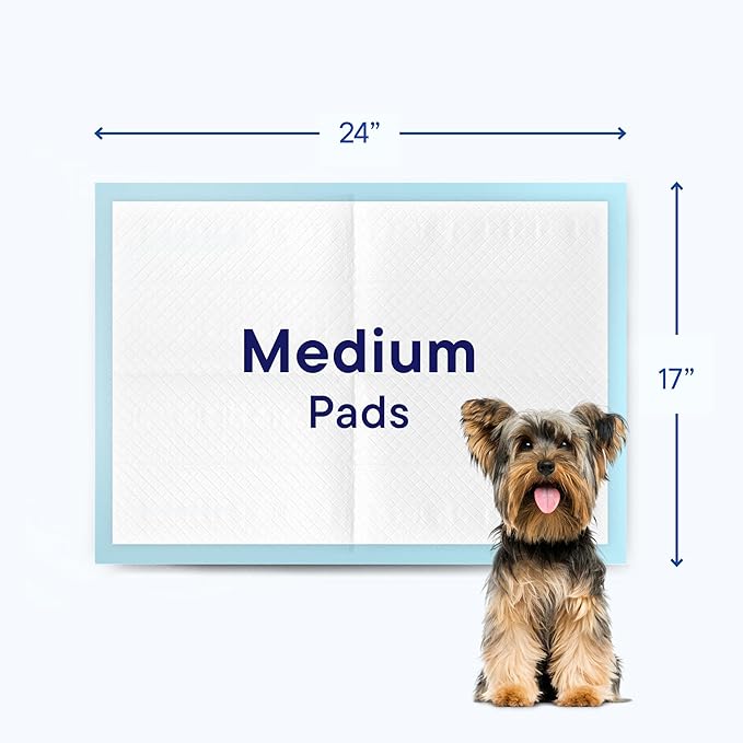 Puppy Pads Pet Pee Pads 17" x 24" [300-Count] Pet Training Disposable Pads, Small Breed Pad, Leak-Proof, Bulk Case Pack - for Chihuahuas, Yorkies, Maltese, Heavy Duty Surface Protector