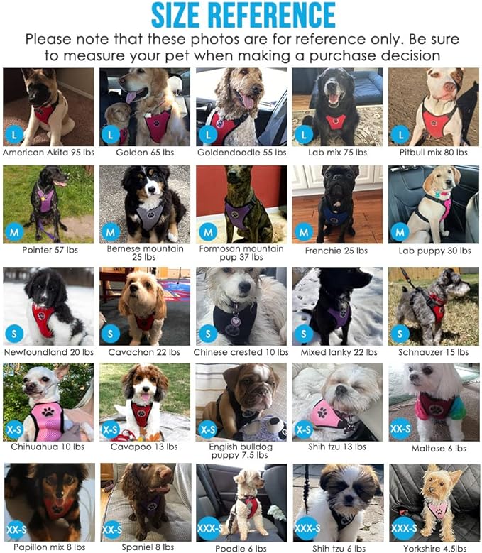 SlowTon Dog Seat Belt Harness for Car, Dog Car Harness Adjustable Mesh Breathable & Dog Seatbelt Safety Tether with Elastic Bungee for Small Medium Large Pets(Light Blue, Double Clip, XS)