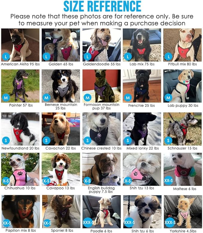 SlowTon Dog Seat Belt Harness for Car, Dog Car Harness Adjustable Mesh Breathable & Dog Seatbelt Safety Tether with Elastic Bungee for Small Medium Large Pets(Camouflage, Double Clip, M)