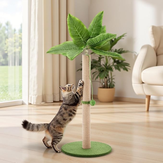 Sweetcrispy 33" Cat Scratching Post for Indoor Cats, Cat Scratcher Scratching Posts with Dangling Ball for Adult, Palm Tree Cat Scratch Post for Kittens, Green