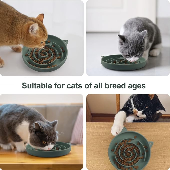 Slow Feeder Cat Bowl, Durable Anti-Gulping Cat Food Bowl for Healthy Digestion, Maze Design Easy to Clean for Wet/Dry Food(Green)