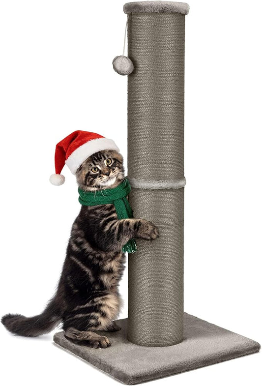 PAWSCRAT Cat Scratching Post 32 Inch High, 5.5 Inch Large Diameter Natural Sisal Cat Scratch Post, Scratch-Resistant and Durable Tall Cat Scratcher for Indoor Cats, Protect Your Furniture, Gery