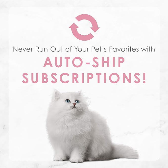 Purina Fancy Feast Kitten Tender Salmon Feast Wet Kitten Food - (Pack of 24) 3 Oz. Cans