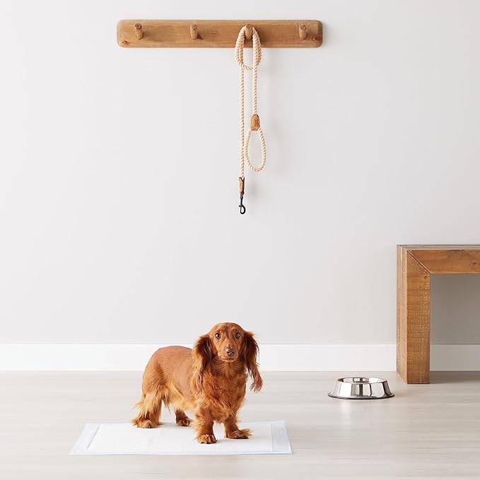 Amazon Basics Scented Dog and Puppy Pee Pads, 5-Layer Leak-Proof Super Absorbent, Quick-Dry Surface, Potty Training, Regular (22x22), 30 Count, Blue & White