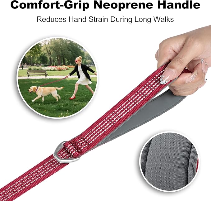 Plutus Pet Heavy Duty Dog Leash with Lockable Aluminum Carabiner, 4/6 Feet Long, Double-Sided Reflective Nylon, Padded Handle, for Puppy, Small, Medium and Large Dogs (Burgundy Red, 1" x 4')