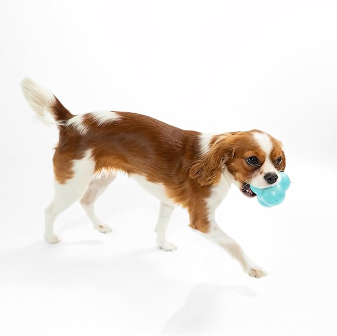 Playology Dog Toys | Squeaky Bounce Ball for Dogs - Bounces in Unpredictable Ways | Jumbo Peanut Butter Scented Toy - Easy to Clean and Made from Non Toxic Materials
