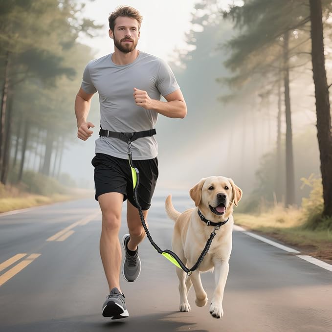 Hands Free Dog Leash for Medium Large Dogs, Waist Support Padded Bungee Dog Running Leash with Reflective Stitching for Walks, Jogging, Running, Hiking, and Dog Training