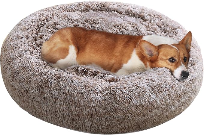 JOLLYVOGUE Dog & Cat Bed, Calming Anti-Anxiety Pet Bed for Small Dogs, Fluffy Donut Cushion for Small and Medium Pets (23")