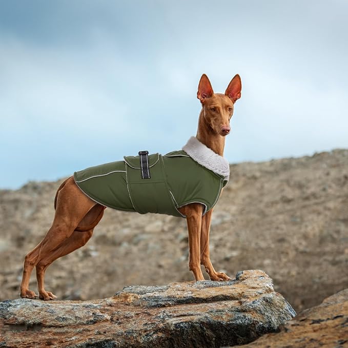 Lelepet Warm Dog Coat Waterproof Dog Jacket for Large Dogs Reflective Fleece Vest with Adjustable Buckle Hook & Loop Windproof Cold Weather Coats for Small Medium Large Dogs, Army Green, XXL