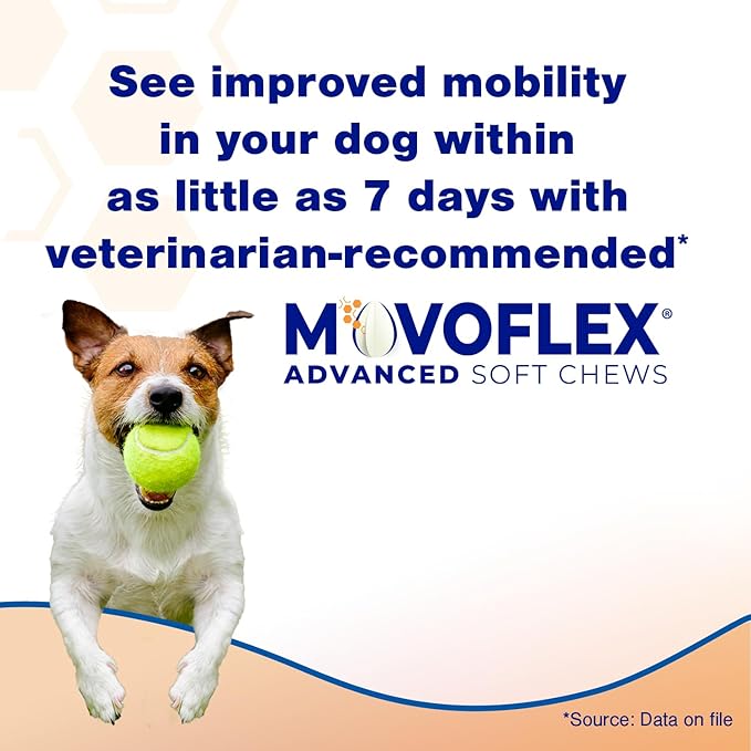MOVOFLEX Advanced Soft Chews Hip and Joint Support Supplement for Small Dogs 60 Count by Virbac