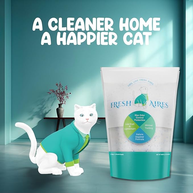 Silica Crystal Cat Litter | Unscented, Lightweight, Non-Clumping, Low Dust & Tracking, Long-Lasting Odor Control Cat Litter for Cats and Kittens | 6 Lb Bag of Crystal Litter