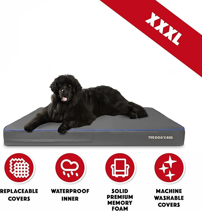 The Dog’s Bed Orthopedic Memory Foam Dog Bed, XXXL Grey/Blue, Pain Relief for Arthritis, Hip & Elbow Dysplasia, Post Surgery, Lameness, Supportive, Calming, Washable Cover, Veterinary Approved