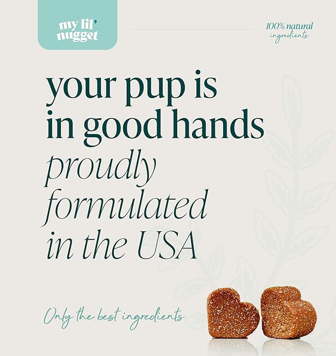 My Lil’ Nugget – Vet-Approved Hip and Joint Support for Dogs | All-Natural Dog Arthritis & Joint Pain Relief | Glucosamine, Chondroitin & Hemp | All-Ages – Senior Dog to Puppy | 90 Bacon Flavor Chews