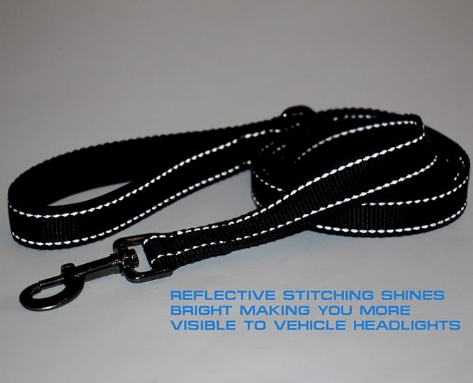 Max and Neo Reflective Nylon Dog Leash - We Donate a Leash to a Dog Rescue for Every Leash Sold (Black, 6 FT)