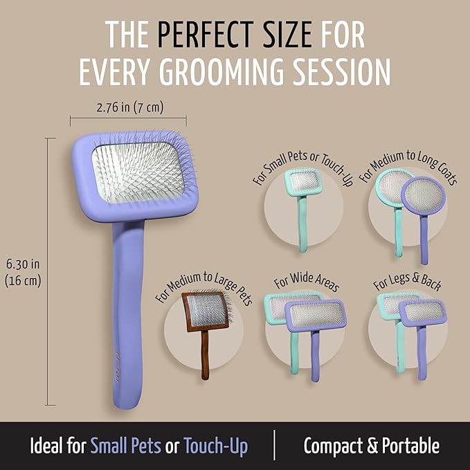 Tauro Pro Line Slicker Brush for Dogs Grooming - Goldendoodle, Poodle & Pomeranian Small Dogs or Cat - Pet Brush for Shedding, Mats or Tangles - Flexible Cushion & Non-Slip Grip (Size S - Purple)