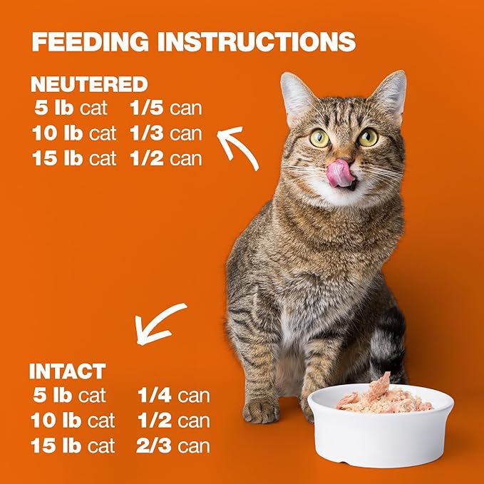 Natural Code - Wet Cat Food, Limited Ingredient Cat Food, High-Protein, Non-GMO, No Artificial Additives, Made in Italy, Chicken & Shrimp in Broth for Adult Cats (3 oz, 24 Pack)