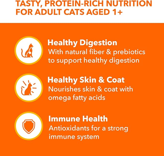 IAMS Perfect Portions Indoor Adult Grain Free Wet Cat Food Pate, Turkey and Salmon Recipe, 2.6 oz. Twin-Pack Trays (12 Count, 24 Servings) (Pack of 2)