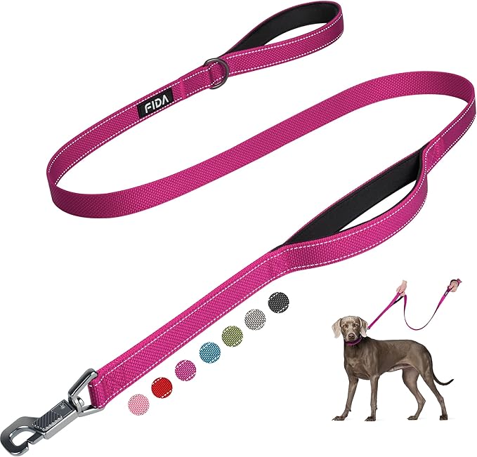 Fida 4 FT Heavy Duty Dog Leash with 2 Comfortable Padded Handles, Traffic Handle & Advanced Easy Snap Hook, Reflective Walking Lead for Large, Medium & Small Breed Dogs, Rose