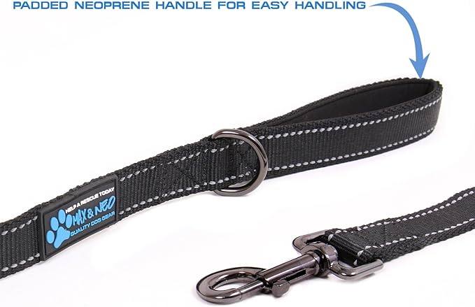 Max and Neo Reflective Nylon Dog Leash - We Donate One for Every Sold (Purple, 6ft)