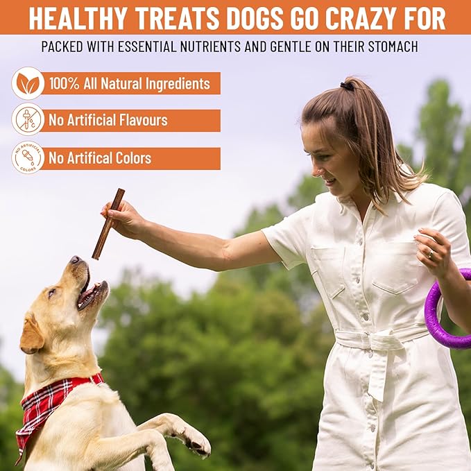6 Inch Bully Sticks for Dogs [10-Pack] – All-Natural, Long-Lasting Dog Chews – High Protein, Low Odor, Easily Digestible – Rawhide-Free & Single-Ingredient Dog Treats for All types of Chewers