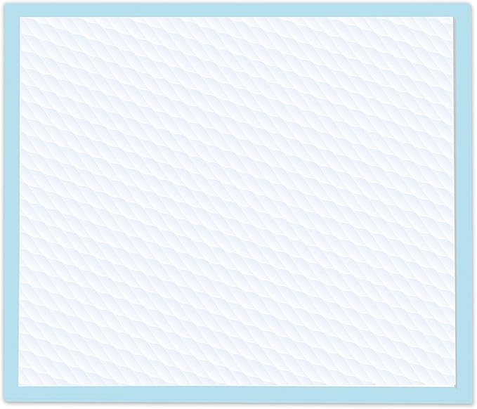 Four Paws Wee-Wee Superior Performance Unscented Pee Pads for Dogs & Puppies, Quilted Leak-Proof Dog Housebreaking Potty Training Floor Protection, 22" x 23", 14 Count