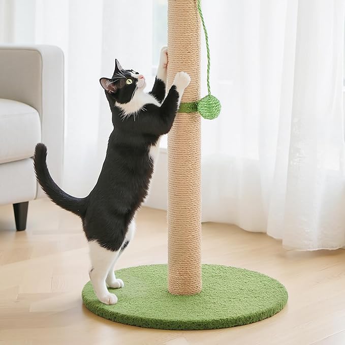 Sweetcrispy 33" Cat Scratching Post for Indoor Cats, Cat Scratcher Scratching Posts with Dangling Ball for Adult, Palm Tree Cat Scratch Post for Kittens, Green