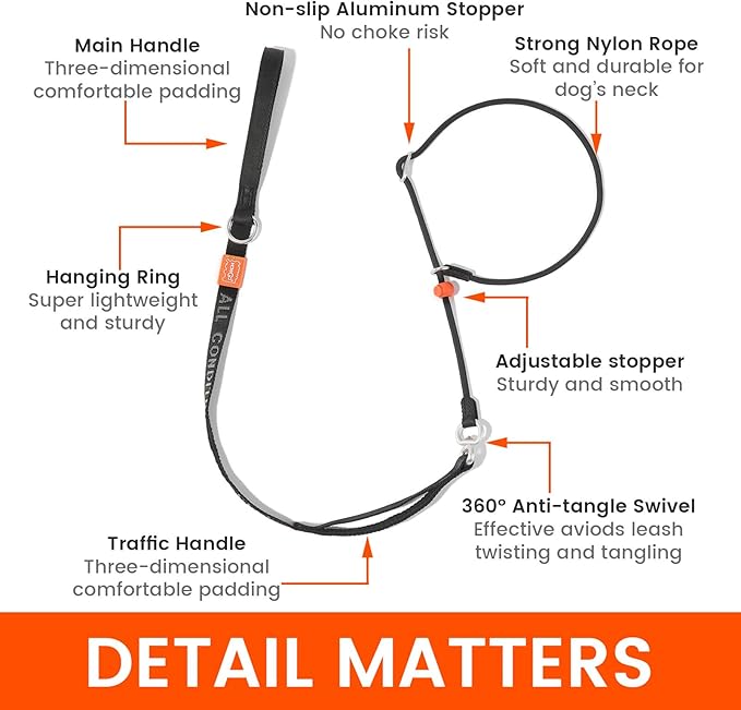 Slip Lead Dog Leash with Double Handles | Reflective Dog Training Leash with 360° Swivel Anti-Tangle | Heavy-Duty Leash and Collar for Large Medium and Small Dogs No-Pull Walking (Multicolor, 5.5FT)