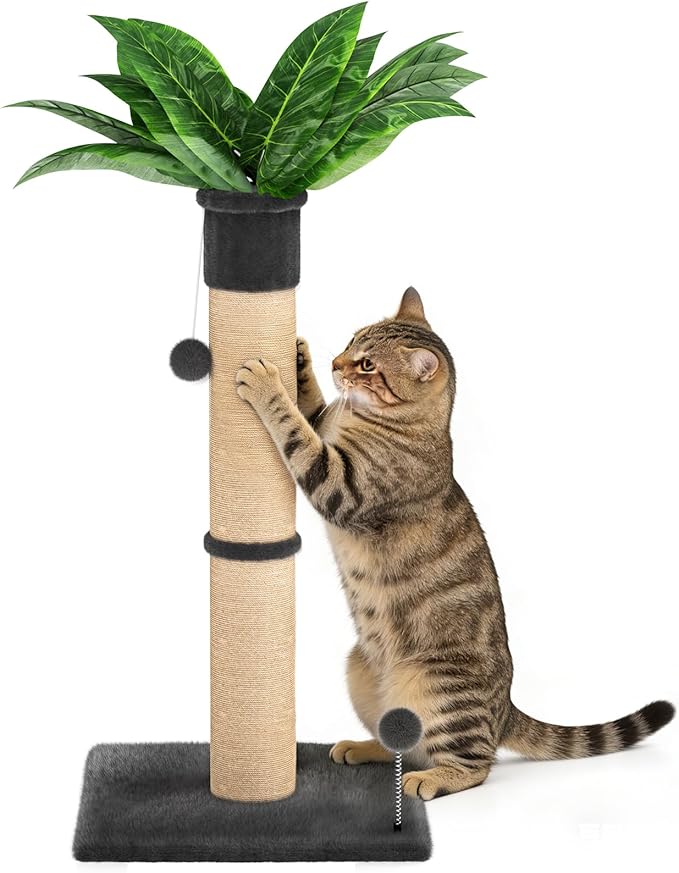 XiaZ Cat Scratching Post 34 Inches Tall, Cat Tower Scratcher Extra Wide 15.8" Stable Base with 2 Interactive Toy Balls, Premium Natural Sisal & Plush Fabric for Any Size Cats (Dark Gray, 4.5in)