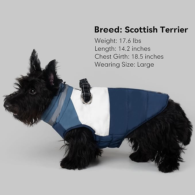 azuza Dog Jacket Waterproof Winter Coat for Small Dogs, Warm Fleece Vest with Reflective Strips & Built-in Harness, Windproof Back Zipper, Navy S