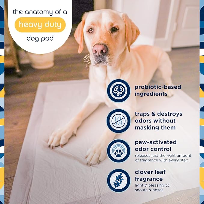 Pet Life Unlimited Heavy Duty Triple Extra Large Puppy Pads – 36" x 36", 25 Count (3XL) | Dog Training Pads with Odor Controlling Wetness-Activated Clover Leaf Scent | USA Made