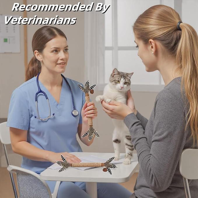 Cat Toys,3 Pack Silvervine Cat Feather Toy Kitten Chew Stick Catnip Treat for Cleaning Teeth Indoor Kitty Teaser Wand Molar Snack Interactive Pet Rabbit Bunny Hamster