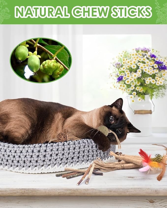TINDTOP 12 Pack Chew Sticks for Cats, Natural Silvervine Catnip Toys for Kittens Teeth Cleaning, Matatabi Dental Care, Increase Appetite, Calm Cat Anxiety and Stress, Cat Dental Toy