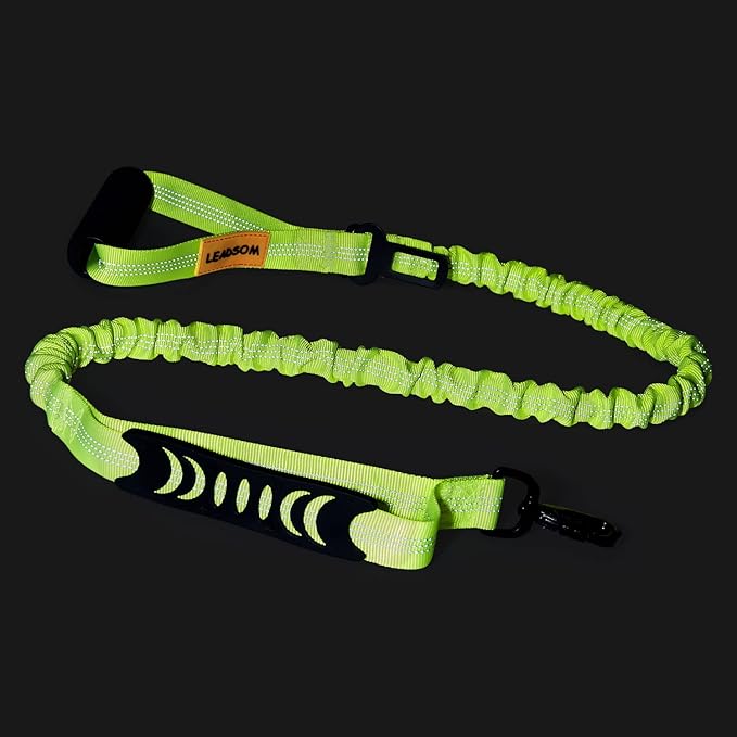 6FT Highly Reflective Heavy Duty Elastic Bungee Medium and Large Dog Leash Shock Absorbing with Comfortable Padded Handle and Traffic Handle Suitable for Training