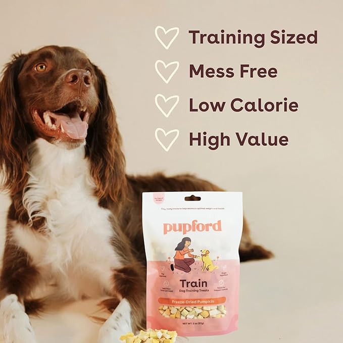 Pupford Freeze Dried Training Treats for Dogs & Puppies, One Ingredient Bites (Pumpkin, 4 oz)
