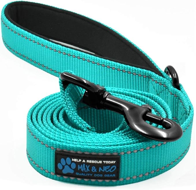 Max and Neo Small Dog Leash - Reflective Nylon, Donates to Dog Rescue (Teal, 6x5/8)