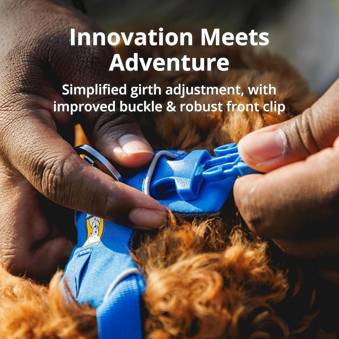 Ruffwear, Front Range Dog Harness, Reflective Soft Padded Everyday Harness with Dual Leash Clips, Adjustable and Lightweight Fit for Training or Walking for All Dogs, Blue Pool, Large/X-Large