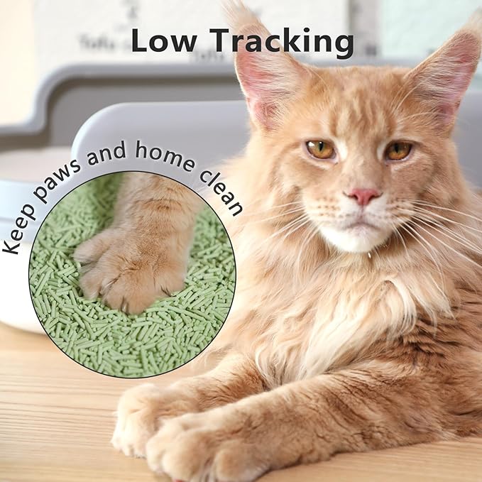 Tofu Cat Litter - Strong Clumping, Ultra Absorbent, Odor Control, Flushable, Low Tracking, Low Dust Tofu Litter Pellets 2 Packs/12LB (Green Tea)