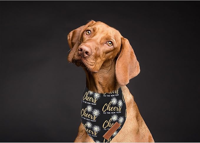 Realeaf New Year Dog Bandanas 2 Pack, Cheers to The New Year Dog Scarf for Boy and Girl, Premium Durable Fabric, Holiday Bandana for Large and Extra Large Dogs Cats Pets (X-Large)