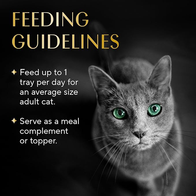 Sheba Selections Filets in Broth Adult Wet Cat Meal Complement Chicken & Shrimp Recipe, 1.3 oz. Cups, 12 Count