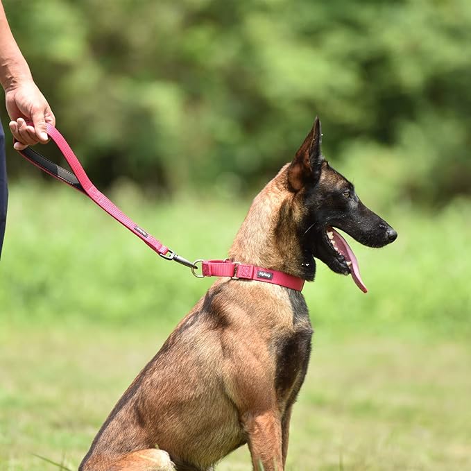 Hyhug Sturdy Nylon 18'' Short Leash with Comfortable Cushion for Giant Large Medium Boy and Girl Dogs -Daily Use Walking and Training. (18 Inches, Rose Red)