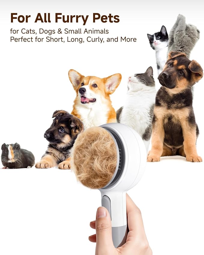 Pet Brush for Cats & Dogs Steam, 3-in-1 Steam Beauty Pet Comb, 2-Speed Spray Settings, Removes Dander and Deshedding Tool, One-Touch Self-Cleaning Hair Brush, for Long and Short Hair Pets