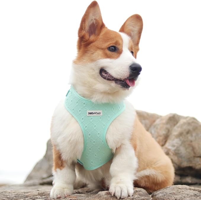 Silk Embroidery Dog Harness with D-Ring Leash Clip Set,Adjustable Soft Padded and Cotton Fabric Pet Vest for Medium and Small Dogs (Mint, Extra Small)
