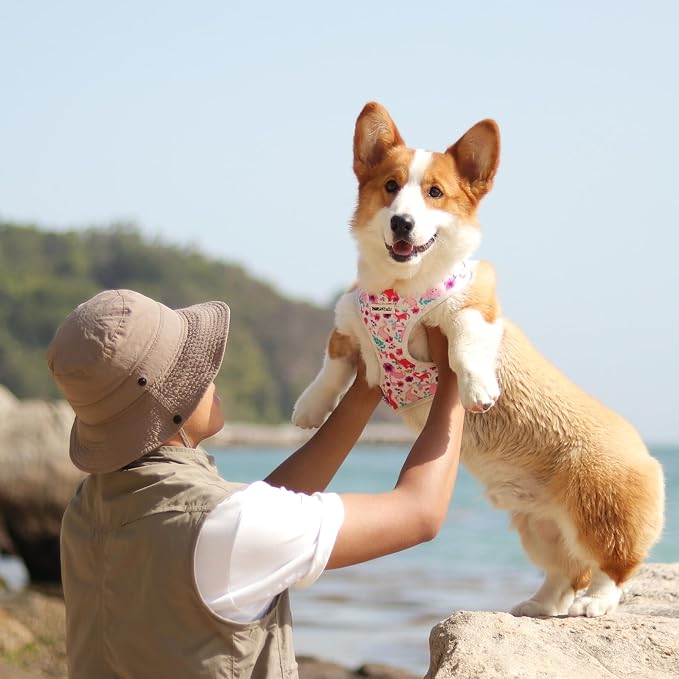 Dinosaur Printed Dog Harness with D-Ring Leash Clip Set,Adjustable Soft Padded and Cotton Fabric Pet Vest Harnesses for Small Size Dogs (White, Small)