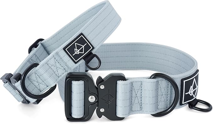 Made to ROAM Premium Dog Collar - Adjustable Heavy Duty Nylon Collar with Quick-Release Metal Buckle (Alaska Daybreak, Classic Size 5)