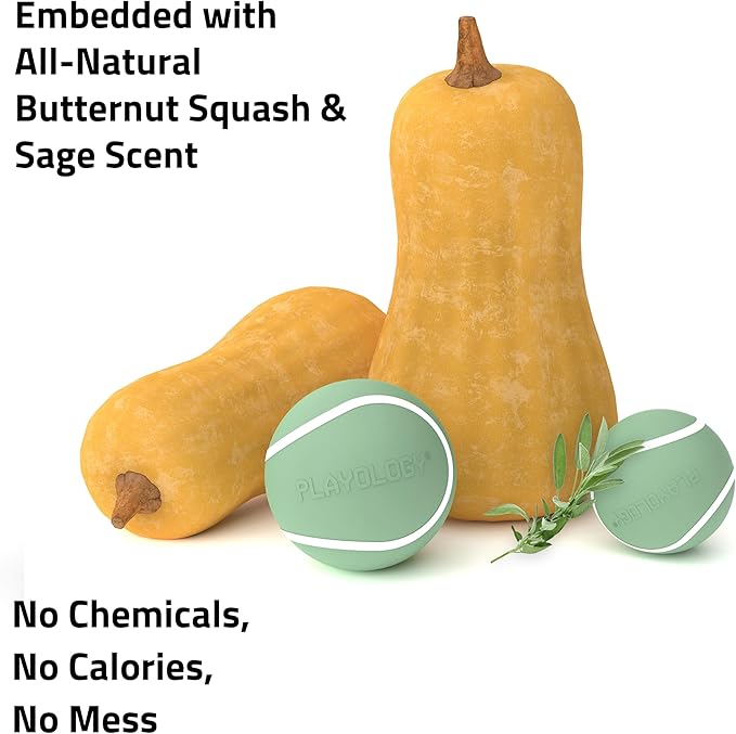 Playology Dog Toys | Squeaky Chew Ball - Bouncy Durable Floating Fetch Ball for Dogs | Jumbo Butternut Squash & Sage Scented Toy - Limited Edition Fall Collection | Made from Non Toxic Materials